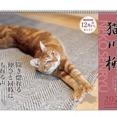 新品未開封品♪猫川柳2025カレンダー