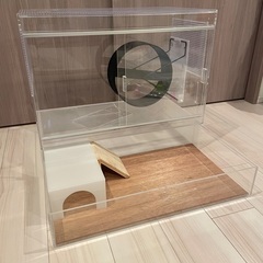 ハリネズミ飼育セット　アクリルケージの画像