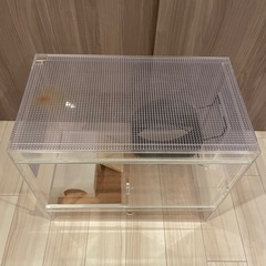 ハリネズミ飼育セット　アクリルケージの画像