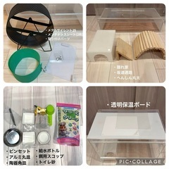 ハリネズミ飼育セット　アクリルケージの画像