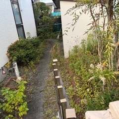 草刈り、伐採他、雑用などのお仕事です