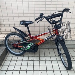 18インチの子供用自転車の画像