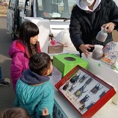 🌈🪲世界のカブトムシ・クワガタの標本展示&チャリティーイベントの...