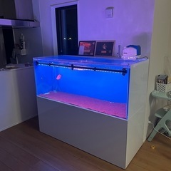 水槽用品販売 バラ売り