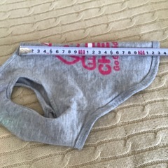 犬服 Tシャツ　グレー CHEERS Go Guide Dogs 小型犬の画像