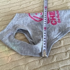 犬服 Tシャツ　グレー CHEERS Go Guide Dogs 小型犬の画像