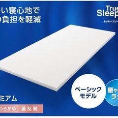 【決まりました】トゥルースリーパープレミアム【低反発タイプ 】