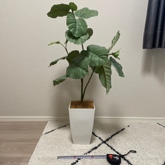 フェイクグリーン