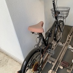 Raychell 折りたたみ自転車20インチ