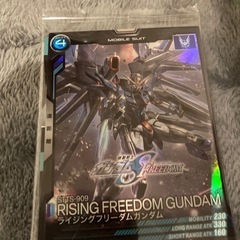 アーセナルベース　ライジングフリーダム