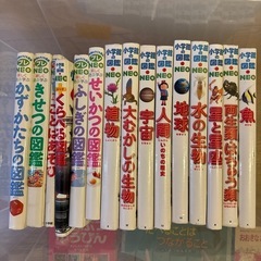 図鑑、児童書