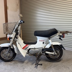 シャリー　角目　ノーマル　カスタムベース　低走行の画像