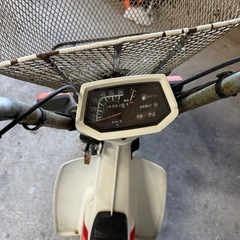 シャリー　角目　ノーマル　カスタムベース　低走行の画像