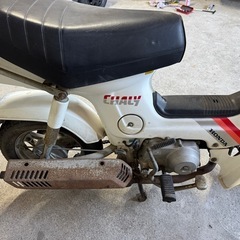 シャリー　角目　ノーマル　カスタムベース　低走行の画像