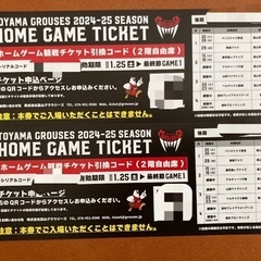 富山グラウジーズ　自由席チケット２枚
