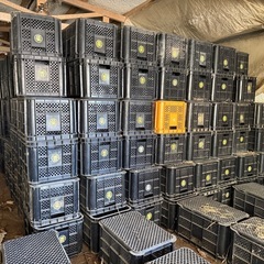 一旦締め切ります　コンテナ　農業用 の画像