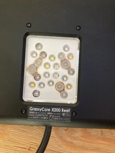 Grassy Core Reef X200