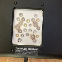 Grassy Core Reef X200の画像
