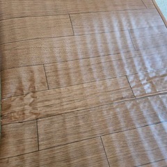 KODEN電気カーペットの画像