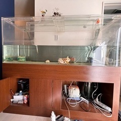 アクリル水槽1500セットの画像