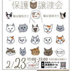 🐈‍⬛ねこまる🐱保護猫譲渡会🐈🩷✨ファミーユ長嶺西ホール