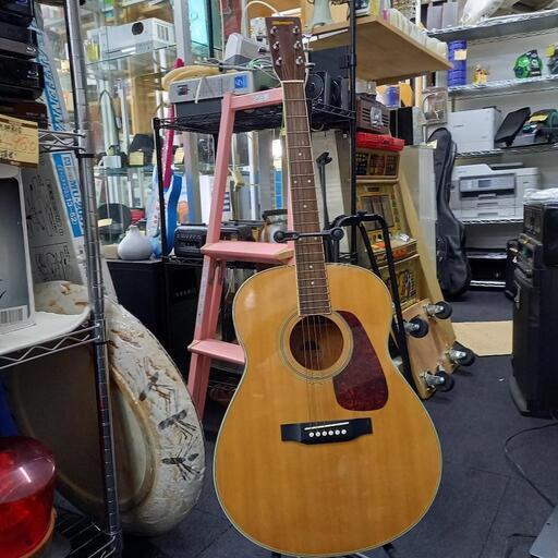 MORRIS モーリス アコースティックギター MF-251N