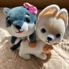 豆しば　三兄弟　ぬいぐるみとねこのぬいぐるみ