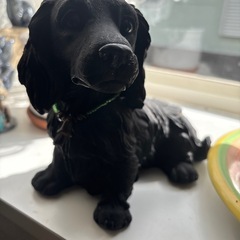 🐕犬のオブジェ の画像