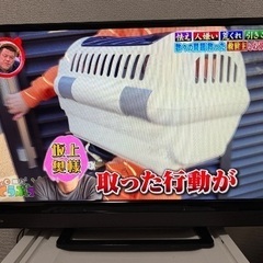 テレビ