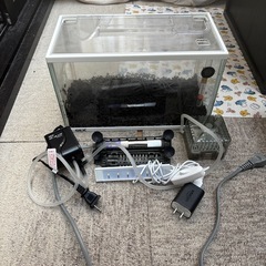 格安セット　GEX水槽　ヒーター、LEDライト、ポンプ、濾過器、水温計などの画像