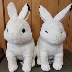 ぬいぐるみ　ふんわりホッキョクウサギ　2頭