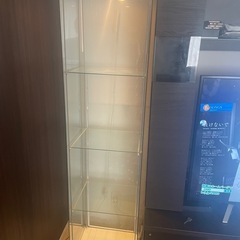 コレクションケース