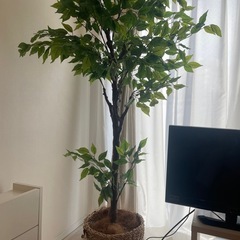 フェイク観葉植物
