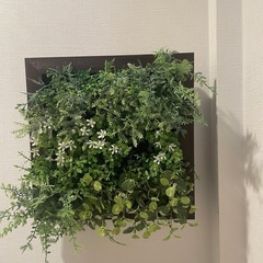 壁掛け観葉植物　2個
