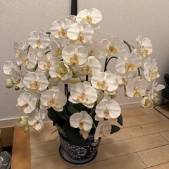胡蝶蘭の造花