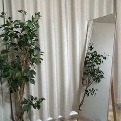 【ニトリ】スタンドミラー