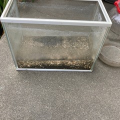 水槽