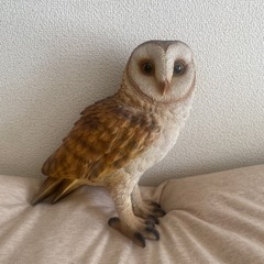 リアルフクロウの置物 H約25cm W約24.5cm