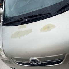 ダイハツ　ミラ　写真あとで掲載します。の画像