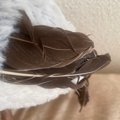 リアルフクロウぬいぐるみ H約27cm W約18cmの画像