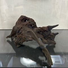 アクアリウム　流木