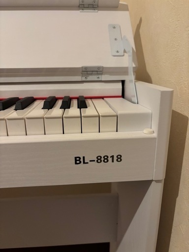 kimfbay 電子ピアノ 88鍵盤 人気 初心者 BL-8818 (ホワイト)