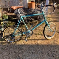 ブルーノミニベロ (BRUNO　MINIVELO) 20 インチ ROADの画像