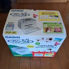 カシオ　プリン写る　ハガキ印刷に如何ですか?の画像