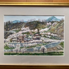 西澤　昭二　水彩画「あんず花 咲く」 西澤昭二水彩画「あんず花 咲く」