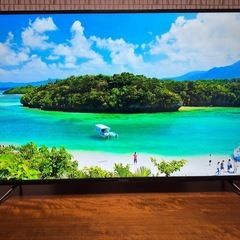 50インチ　4K 大型モニター