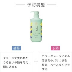 いち髪トリートメントinシャンプーの画像