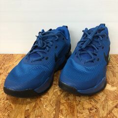 【A489】スニーカー NIKE DM0829-403 25.5cm