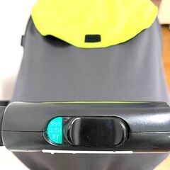 【Goodbaby】ベビーカー グッドベビー 両対面式 西松屋の画像