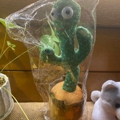 ダンシングサボテンの画像